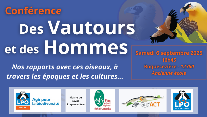 Des vautours et des Hommes